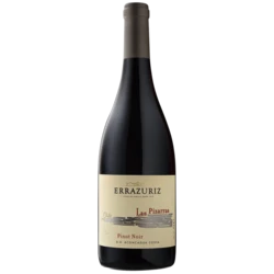 Errázuriz Las Pizarras Pinot Noir – Aconcagua Costa – 2021 – 13%