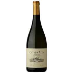 Catena Alta Chardonnay – Mendoza – 2024 – 13,5%