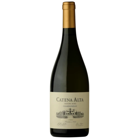 Catena Alta Chardonnay – Mendoza – 2024 – 13,5%