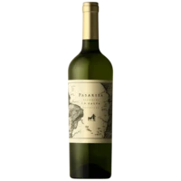 Pasarisa Torrontés – Salta – 2024 – 12.5%