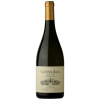 Catena Alta Chardonnay – Mendoza – 2024 – 13,5%